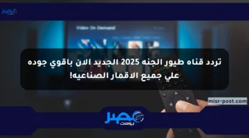 تردد قناة طيور الجنة 2025 الجديد الآن بأقوى جودة على جميع الأقمار الصناعية!
